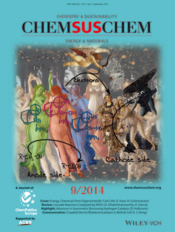 Bellini et al 2014 ChemSusChem 1