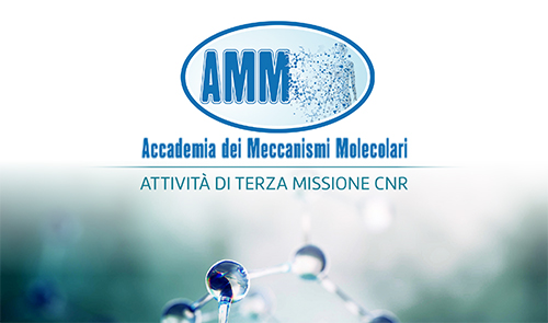 Brochure CORSO AMM 2024 1