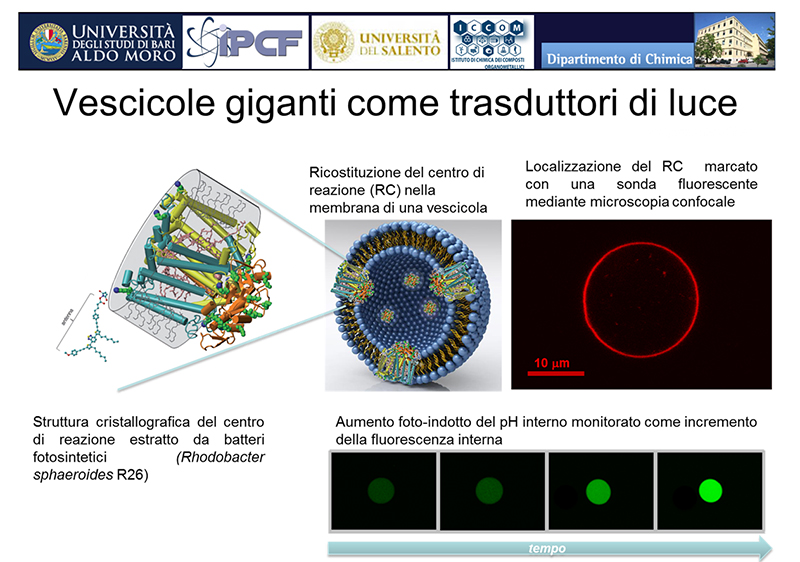 Vescicole